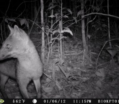 D55IR_V076.B00038.069__FG=1750,FT=48769,NIR=0,GM=2,EV=43,PY=31,DY=42,GB=0x80,SG=0xc,EL=905,AEY=0,AEM=0,AEB=3